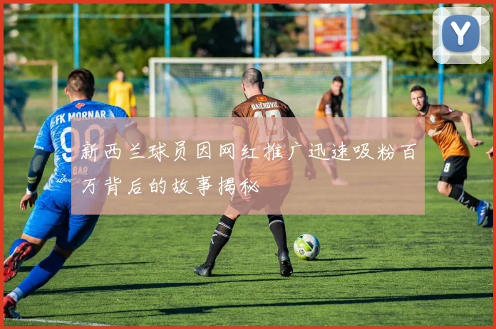 新西兰球员因网红推广迅速吸粉百万背后的故事揭秘