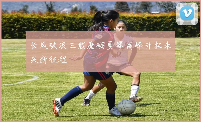 长风破浪三载磨砺勇攀高峰开拓未来新征程