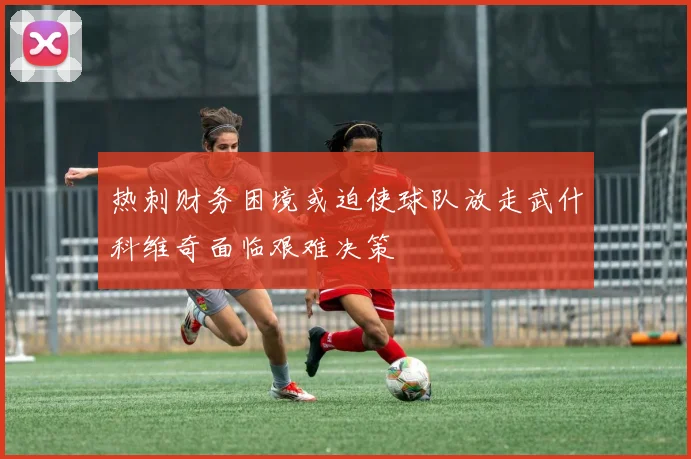 热刺财务困境或迫使球队放走武什科维奇面临艰难决策